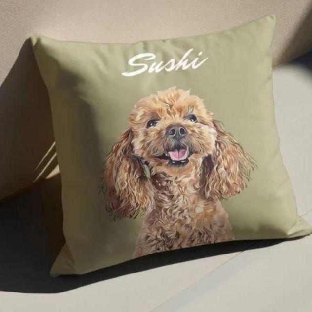 Custom Beane Pillow Cover