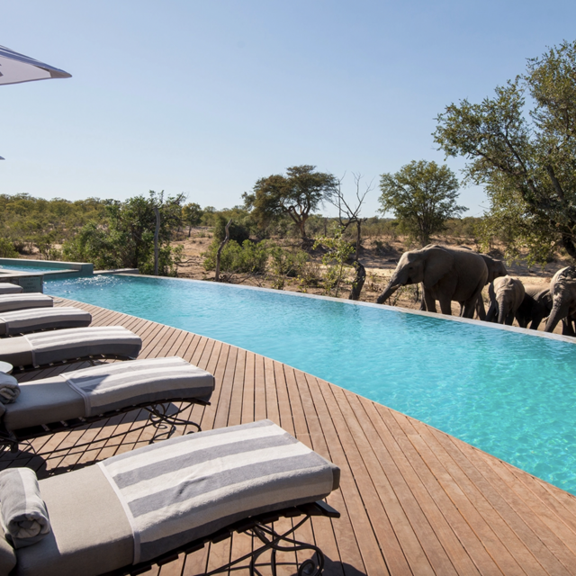 Honeymoon Fund: South Africa