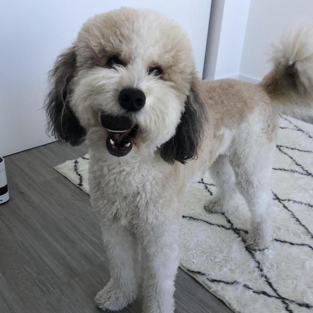 Alex Leeds and Amanda Leeds's Wedding Registry on Zola