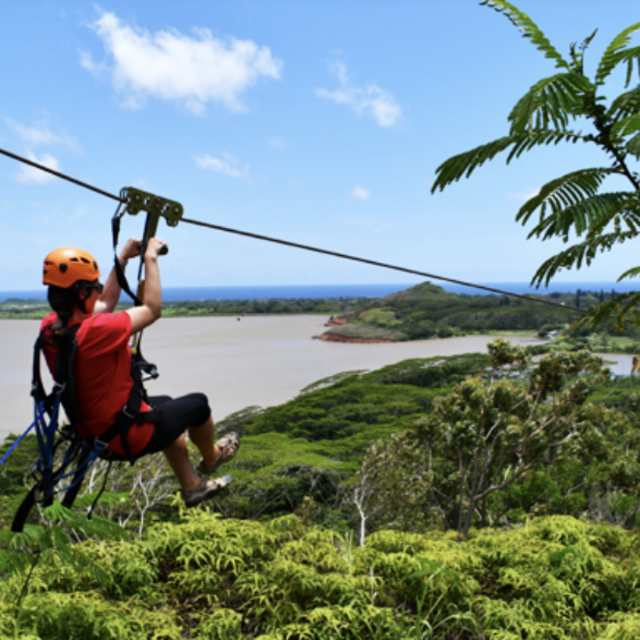 Honeymoon: Koloa Zipline