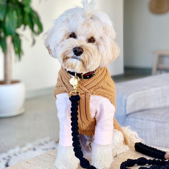Merino Wool Weave Knit Dog Sweater - Toffee