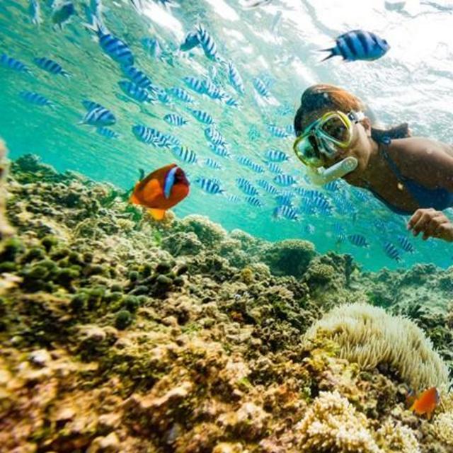 Sand Bar & Snorkel Trip for Two