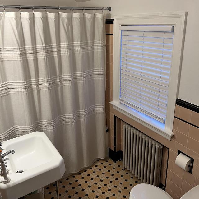 Help Us Demolish our Dinosaur Bathroom!