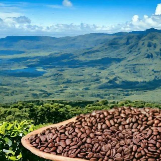 Kona Coffee Plantation Tours