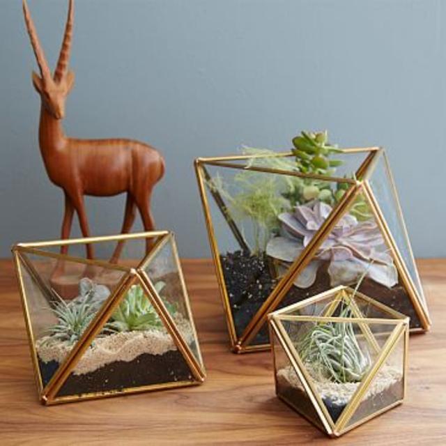 Faceted Terrariums: Gold Large- West Elm