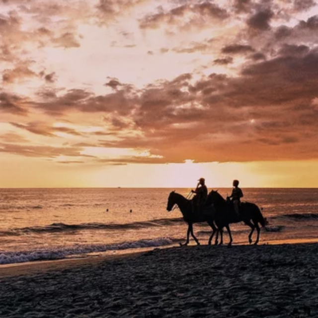 Sunset Horseback Riding