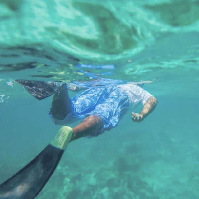 Catamaran Snorkeling