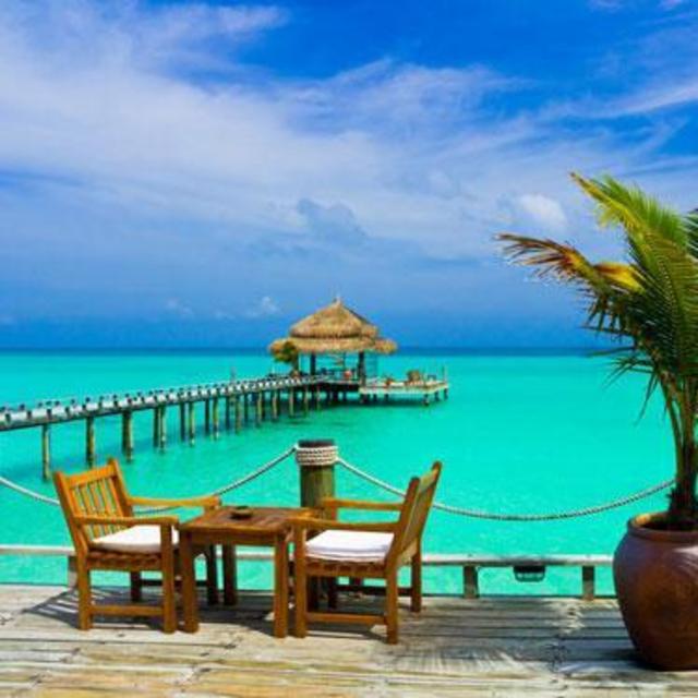 Honeymoon Adventure