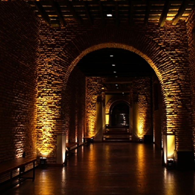Tour of Archaeological Site El Zanjón