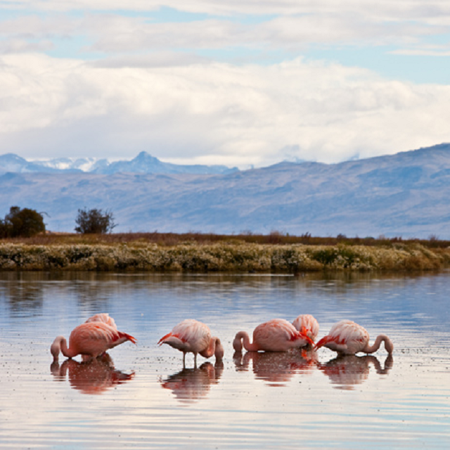 Excursion to Laguna Nimez