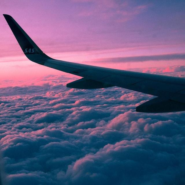 Honeymoon Flights