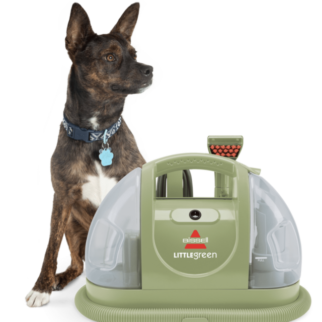 Little Green® Portable Carpet Cleaner
