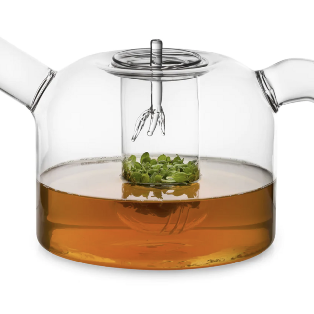Outline Glass Teapot
