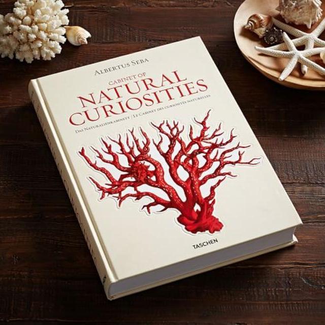 Cabinet of Natural Curiosities by Albertus Seba