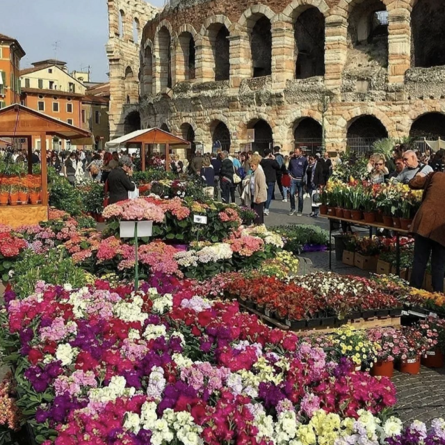 Italy Honeymoon Fund