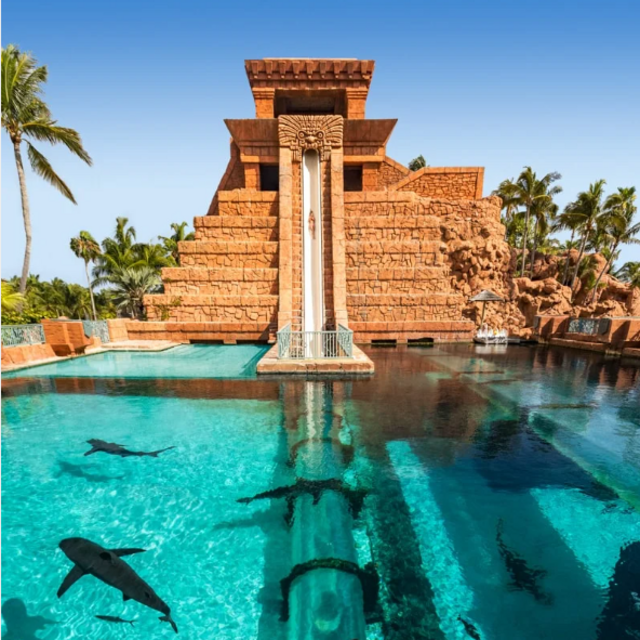Atlantis On Our Honeymoon!