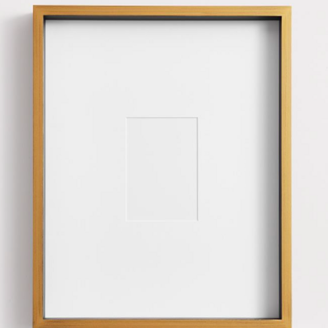 Seine Gallery Frames-Gold/Black 16x20