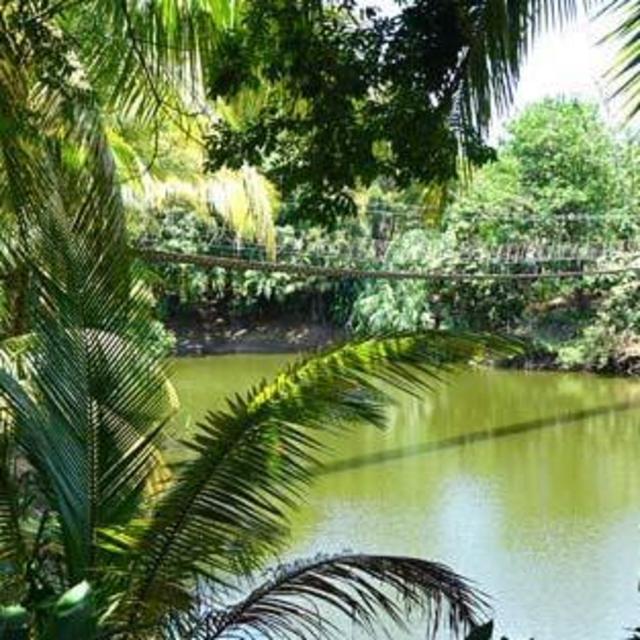 Honduras Excursion: Clear Kayak, Snorkel, and visit Gumbalimba Park