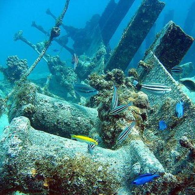 Grand Cayman Excursion: Shipwreck Shore Snorkel
