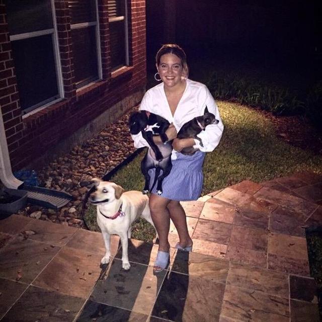 Dog Sitting During Honeymoon