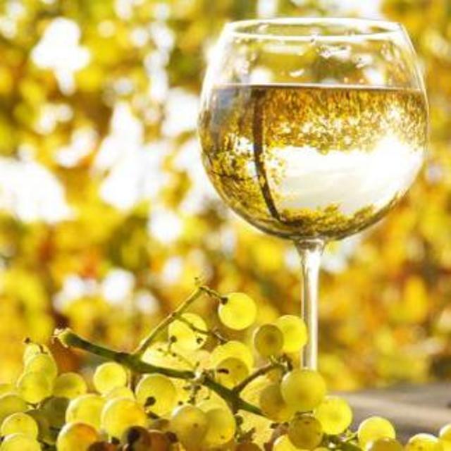 Bottle of Sauvignon Blanc