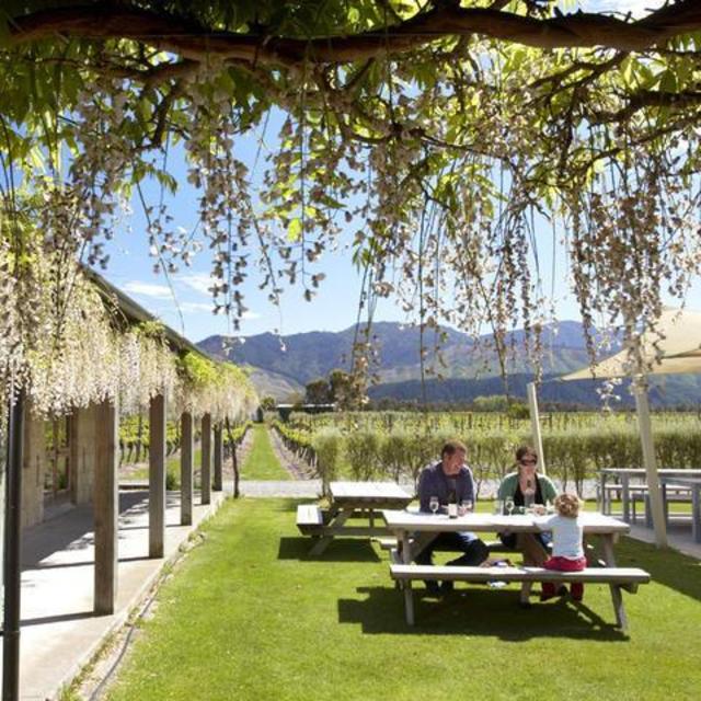 Lunch at Wairau River Vineyard