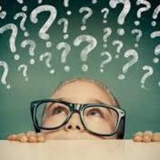 Anything and Everything Adventure