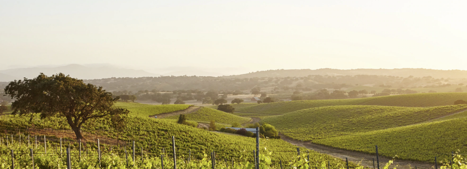 Tiara Thomas and Kyle Fukui's Wedding Registry on Zola