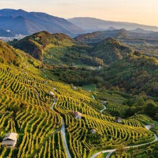 Prosecco Hills Tour