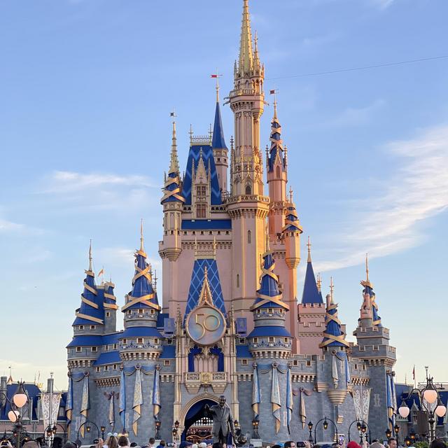 Disney Experiences at our Honeymoon