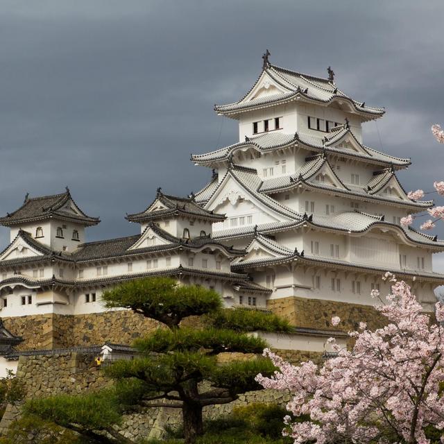 Honeymoon at Himeji Castle
