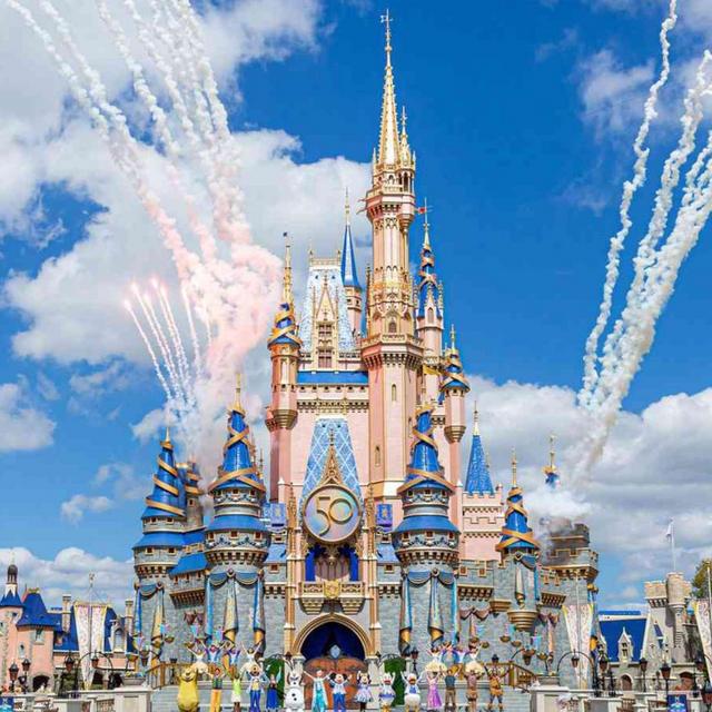 Our Honeymoon Fund to Disneyworld