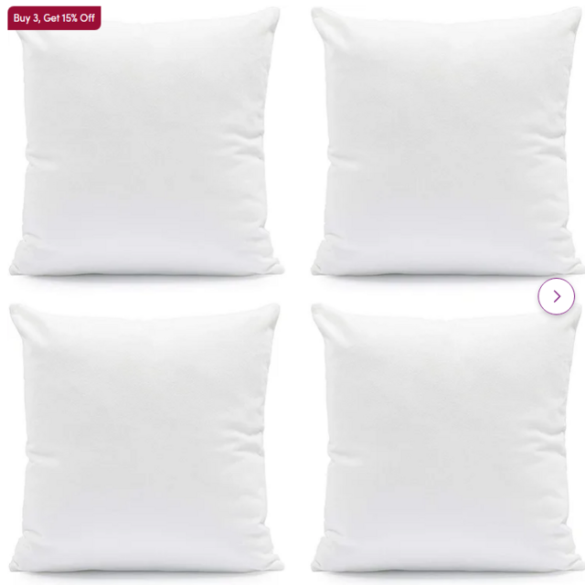 18" x 18" Erion Pillow Insert (Set of 4)
