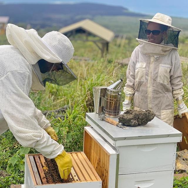 Honey Bee Sanctuary