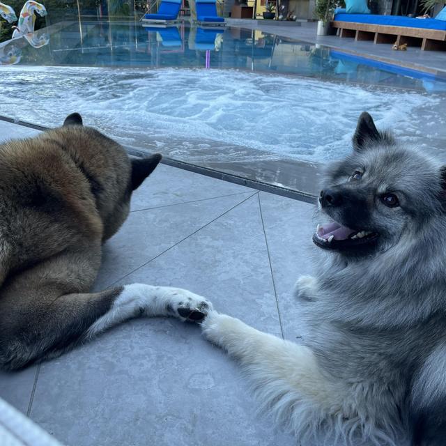 Maybe a pool?