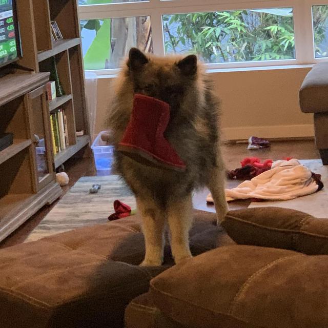 New boots for Tina