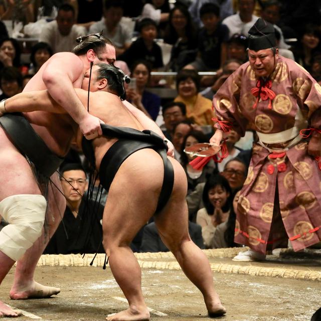 Honeymoon! – Sumo Tournament