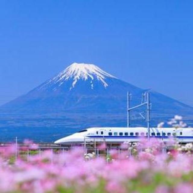 Honeymoon! – Japan Rail Pass - Miyajima to Kyoto