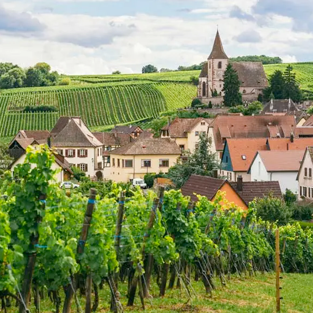 Burgundy Day Trip Wine Tour