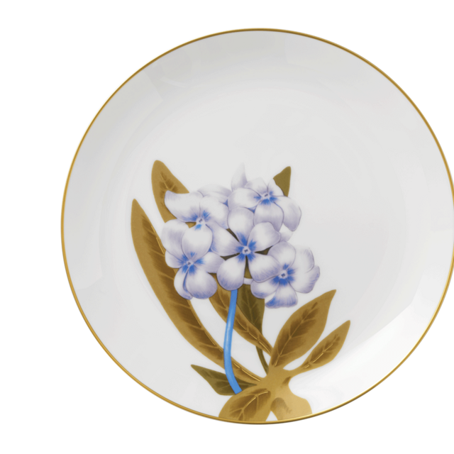 Plate Rhododendron