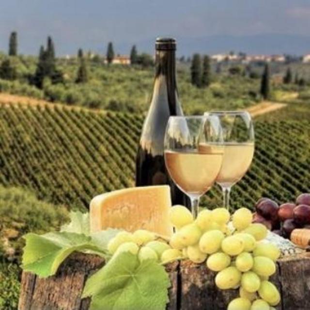Chianti Wine Tour in Tuscany