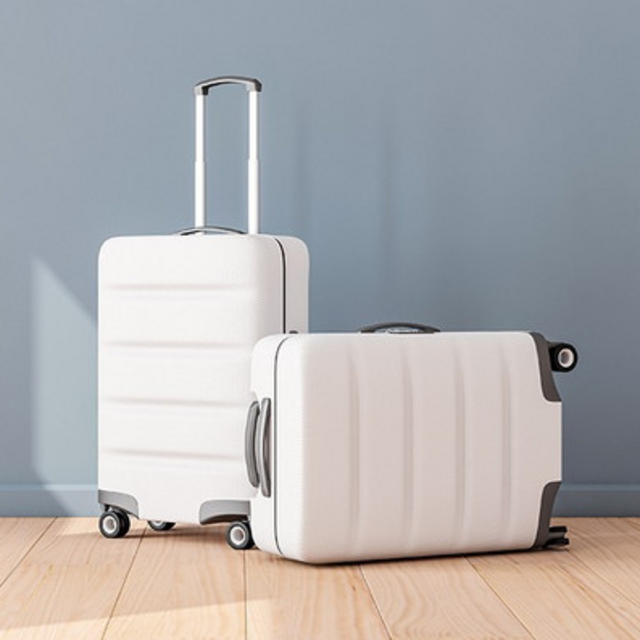 Luggage to withstand all the planes, trains and automobiles!