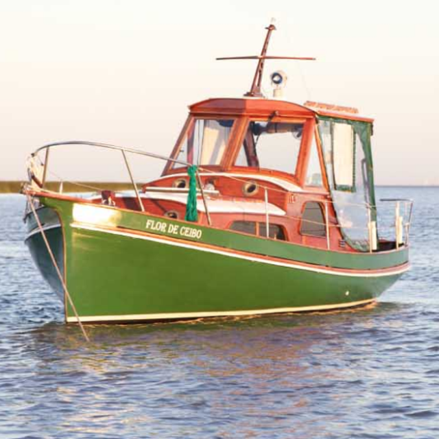 Boating on the Tigre Delta