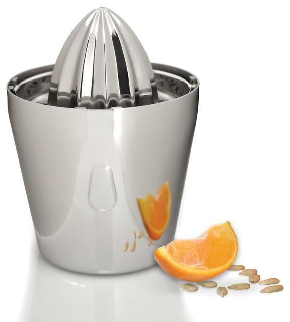 Stainless Steel Juicer 13.5Oz