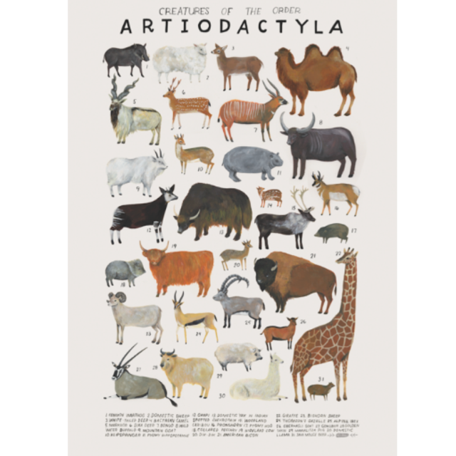 Creatures of the order Artiodactyla