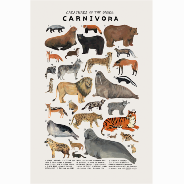 Creatures of the order Carnivora