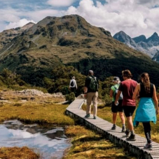 Half Day Guided Hike