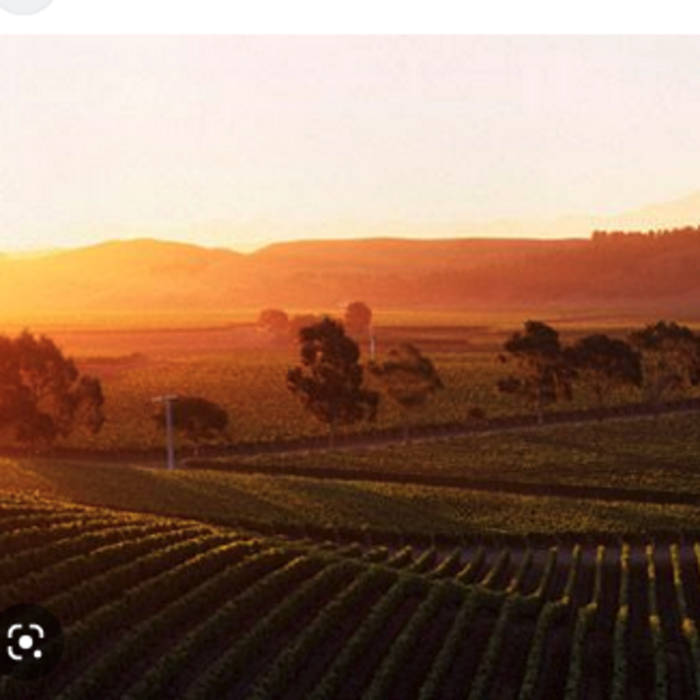 Full Day Gourmet Scenic Wine Tour