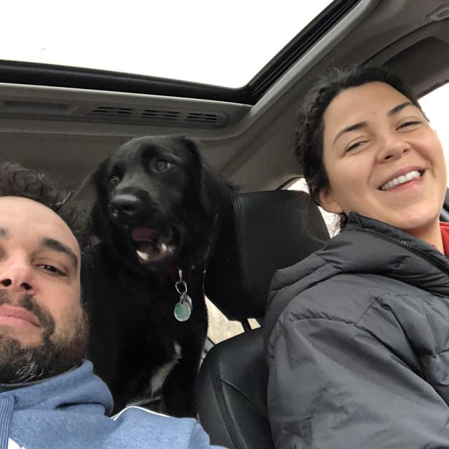 Pet Hotel During Our Honeymoon