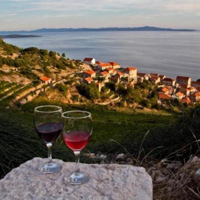 Croatian wines at vineyards in Hvar